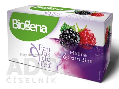 Biogena Fantastic Tea Malina & Ostružina ovocný čaj 20x2,2 g (44 g)